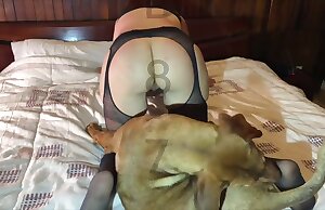 Những video sex động vật như thế quá nổi bật